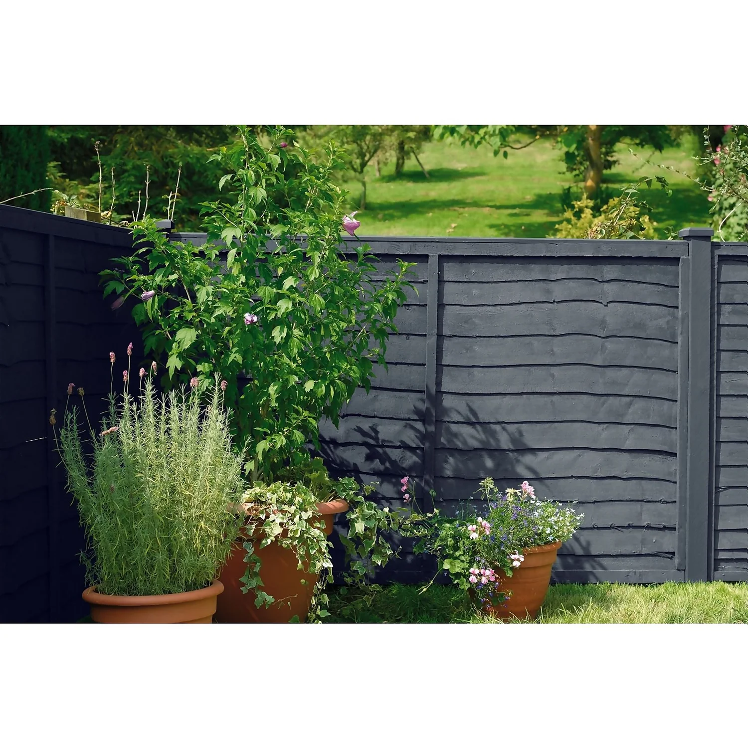 Cuprinol 5 Year Ducksback - Silver Copse - 5L Cuprinol 5 Year Ducksback - Silver Copse - 5L -Best Paint Store 12804823 1634842792492135