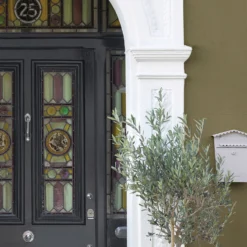 Sandtex® Ultra Smooth Masonry Paint Olive - 5L 7 Sandtex® Ultra Smooth Masonry Paint Olive - 5L -Best Paint Store 12808376 1084871500122906