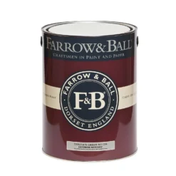 Farrow & Ball Exterior Masonry Paint Teresa's Green - 5L -Best Paint Store 12809076 1424951872309846