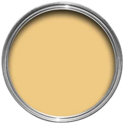Farrow & Ball Exterior Masonry Paint Yellow Ground - 5L 3 Farrow & Ball Exterior Masonry Paint Yellow Ground - 5L -Best Paint Store 12810025 2544951870926552