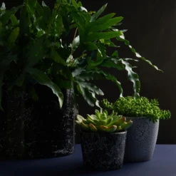 Craig & Rose Artisan Crackle Effect Spray Paint - Black - 400ml -Best Paint Store 12817532 1464833199991187