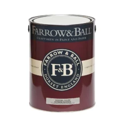 Farrow & Ball Exterior Masonry Paint Bancha - 5L -Best Paint Store 12826069 1444951850102406