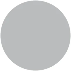 Rust-Oleum Silver - Stove And BBQ Spray Paint - 400ml -Best Paint Store 12832659 8214832955240249