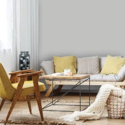 Homebase Silk Emulsion Paint Grey Fox - 2.5L 5 Homebase Silk Emulsion Paint Grey Fox - 2.5L -Best Paint Store 12836601 2444833205443483