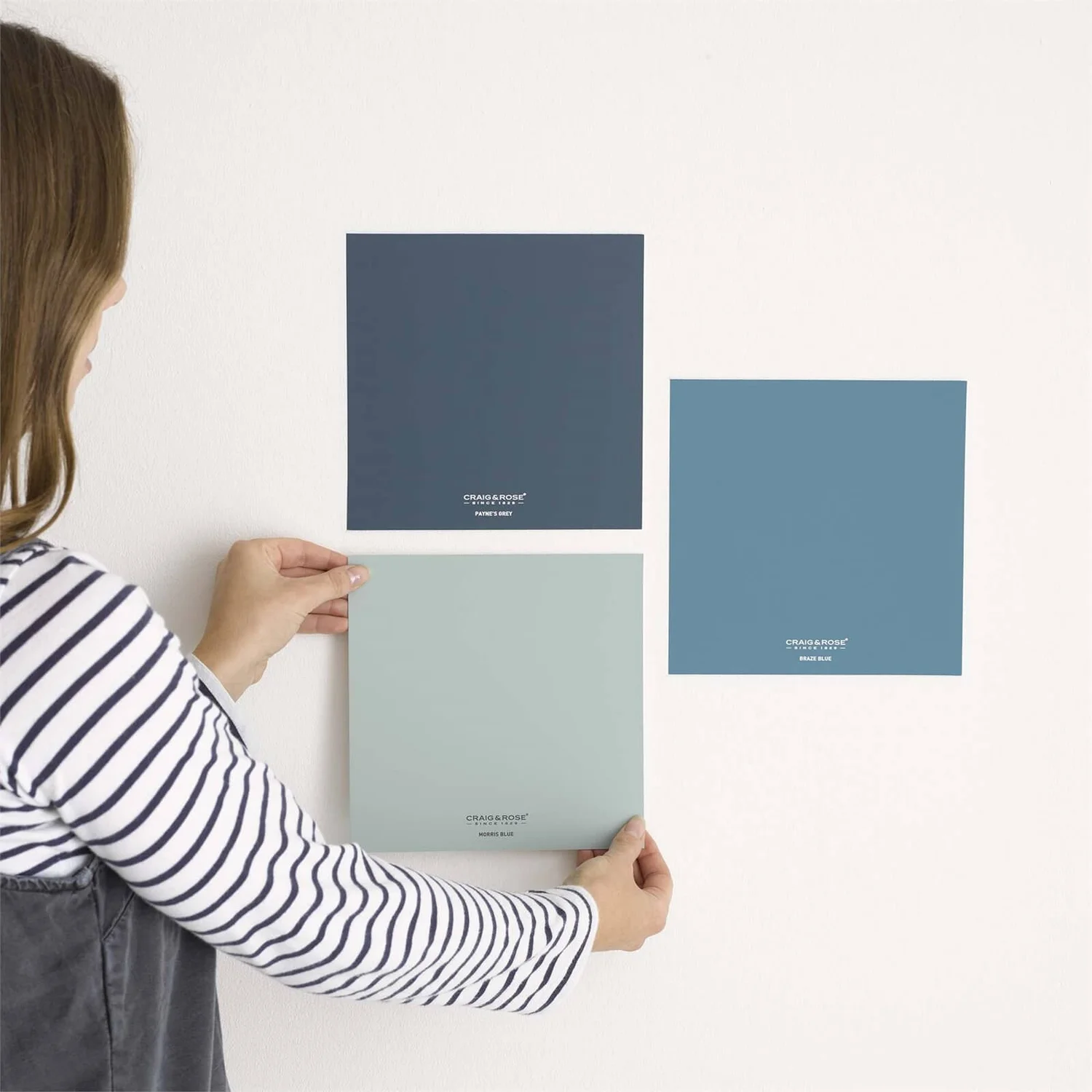 Craig & Rose 1829 Matt Paint Colour Patch Damson Craig & Rose 1829 Matt Paint Colour Patch Damson -Best Paint Store 12838163 2014832983688619