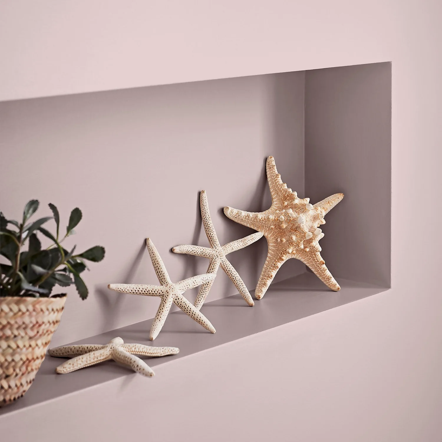 Crown Easyclean Bathroom Paint Pashmina - 0.04L Crown Easyclean Bathroom Paint Pashmina - 0.04L -Best Paint Store 12886556 1514853989553877