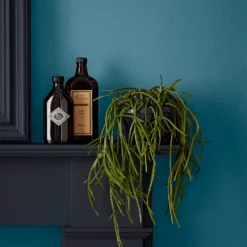 Crown Easyclean Bathroom Paint Teal - 0.04L -Best Paint Store 12886566 2014853989681893