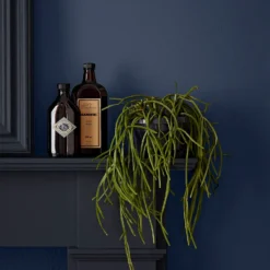 Crown Easyclean® Mouldguard+ Bathroom Mid Sheen Washable Multi Surface Paint Midnight Navy® - 2.5L 4 Crown Easyclean® Mouldguard+ Bathroom Mid Sheen Washable Multi Surface Paint Midnight Navy® - 2.5L -Best Paint Store 12886764 1824853415644115