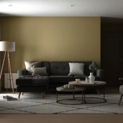 Dulux Walls & Ceilings Paint Wild Wonder - Tester 30ml -Best Paint Store 13913917 1084989523513089